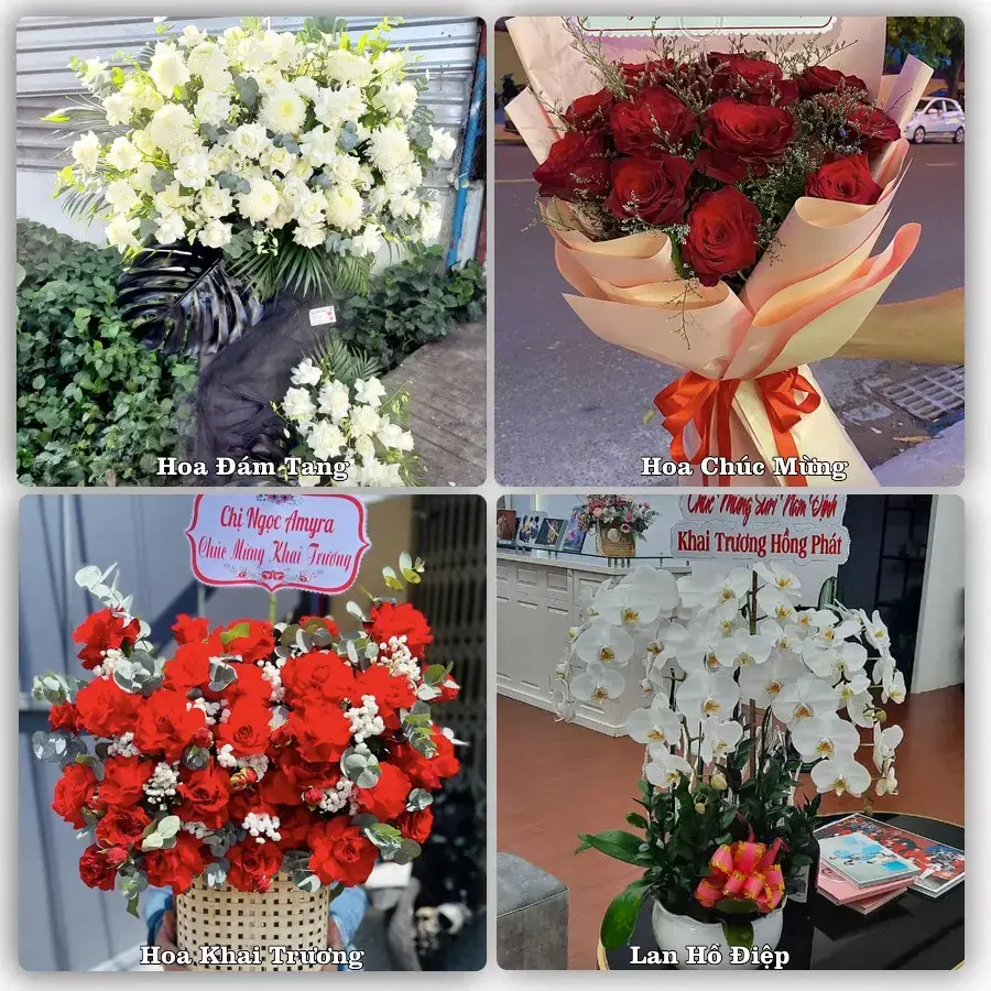 Shop hoa tươi Hòa Bình – đặt hoa theo dịp, giao tận nơi Quận 11