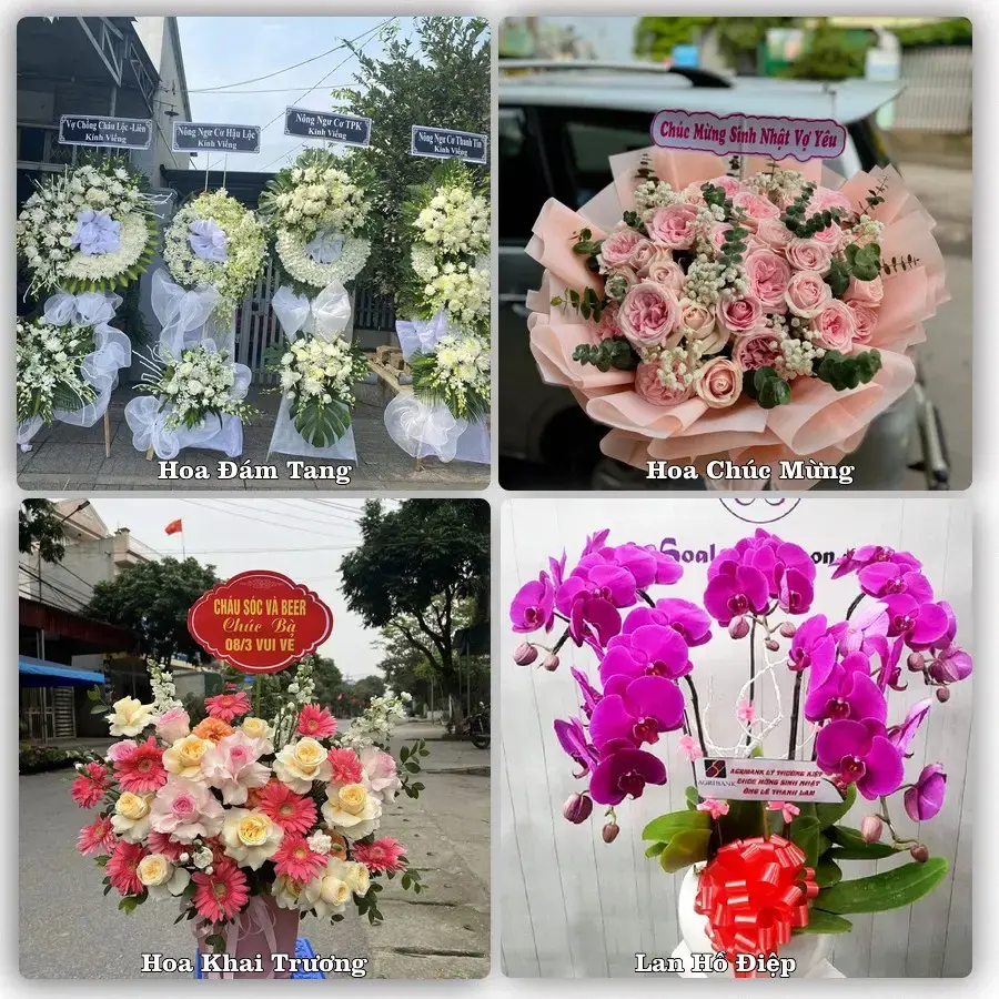 Shop hoa tươi Hòa Cường, Đà Nẵng – đặt hoa theo dịp, giao tận nơi