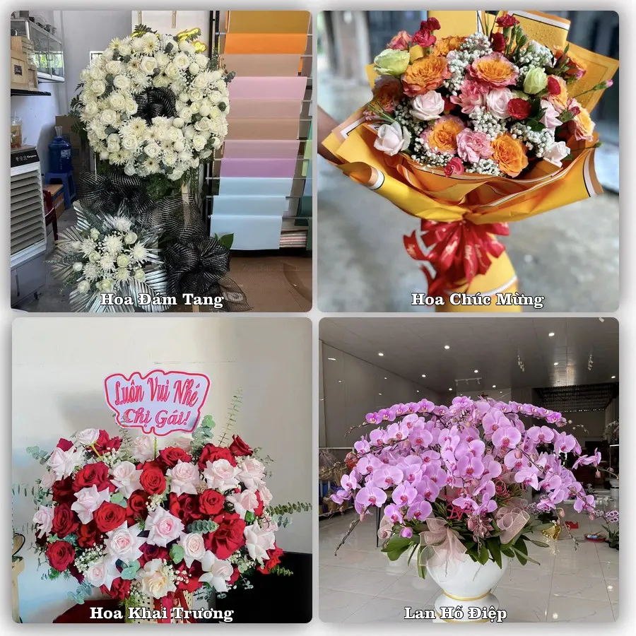 Mẫu hoa tươi giao tại Hòa Hưng, TP.HCM