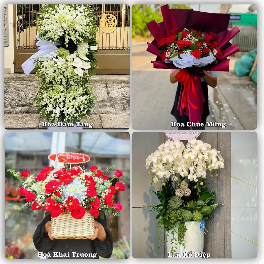 Đặt hoa giao tận nơi khu Hòa Khánh, Đà Nẵng