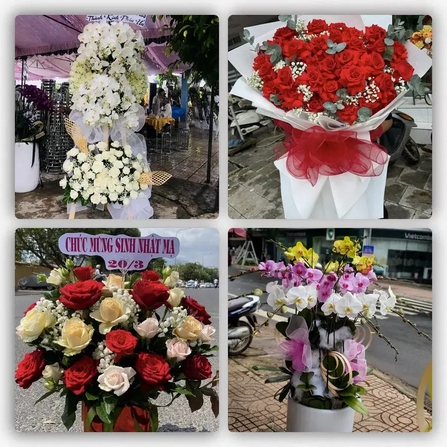 Mẫu hoa tươi tại Hòa Lộc