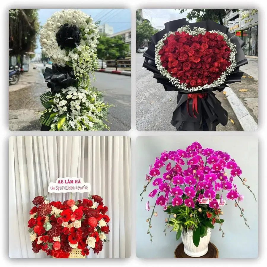 Mẫu hoa tươi tại Hòa Lộc