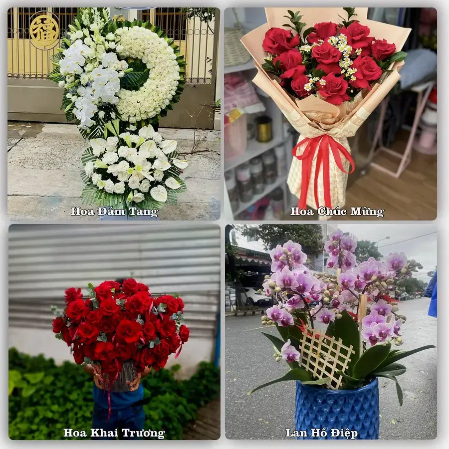 Shop hoa tươi Hoa Lư, Ninh Bình – đặt hoa theo dịp, giao tận nơi