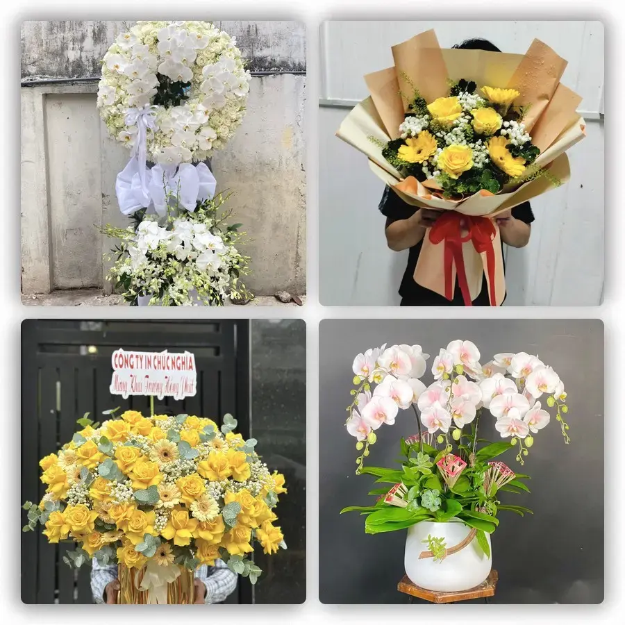 Mẫu hoa tươi tại Hòa Ninh