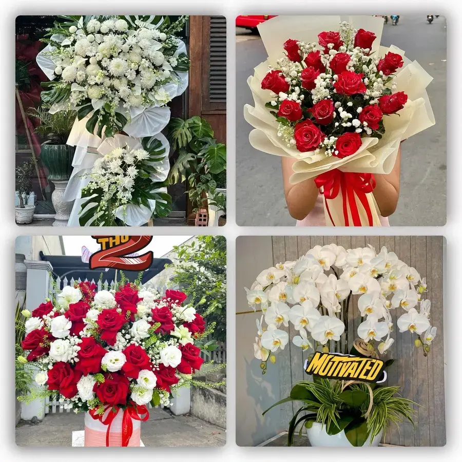 Mẫu hoa tươi tại Hòa Thành