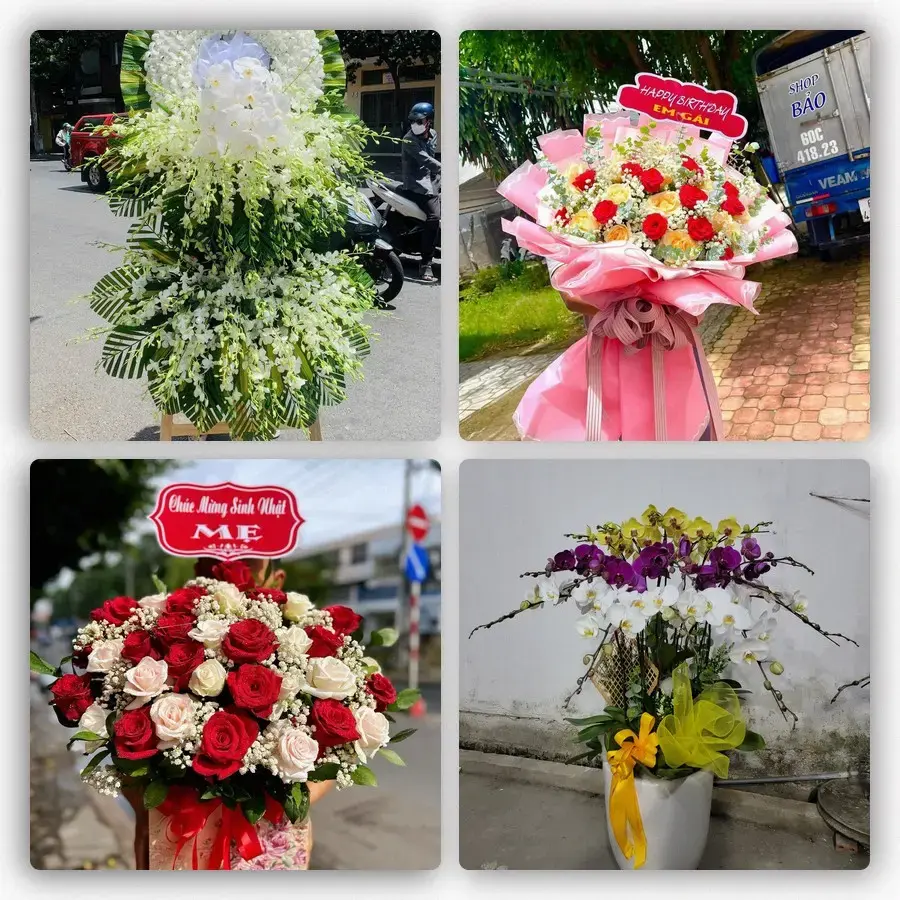 Mẫu hoa tươi tại Hòa Thuận