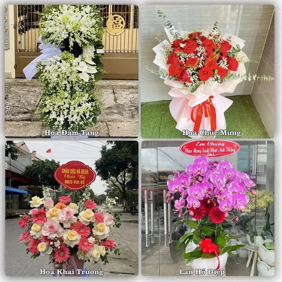 Shop hoa tươi Hoài Đức – chưa biết chọn gì cứ nhắn shop