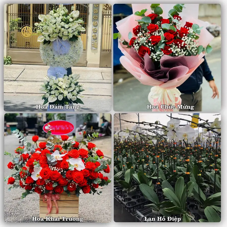 Đặt hoa giao tận nơi khu Hóc Môn, TP.HCM
