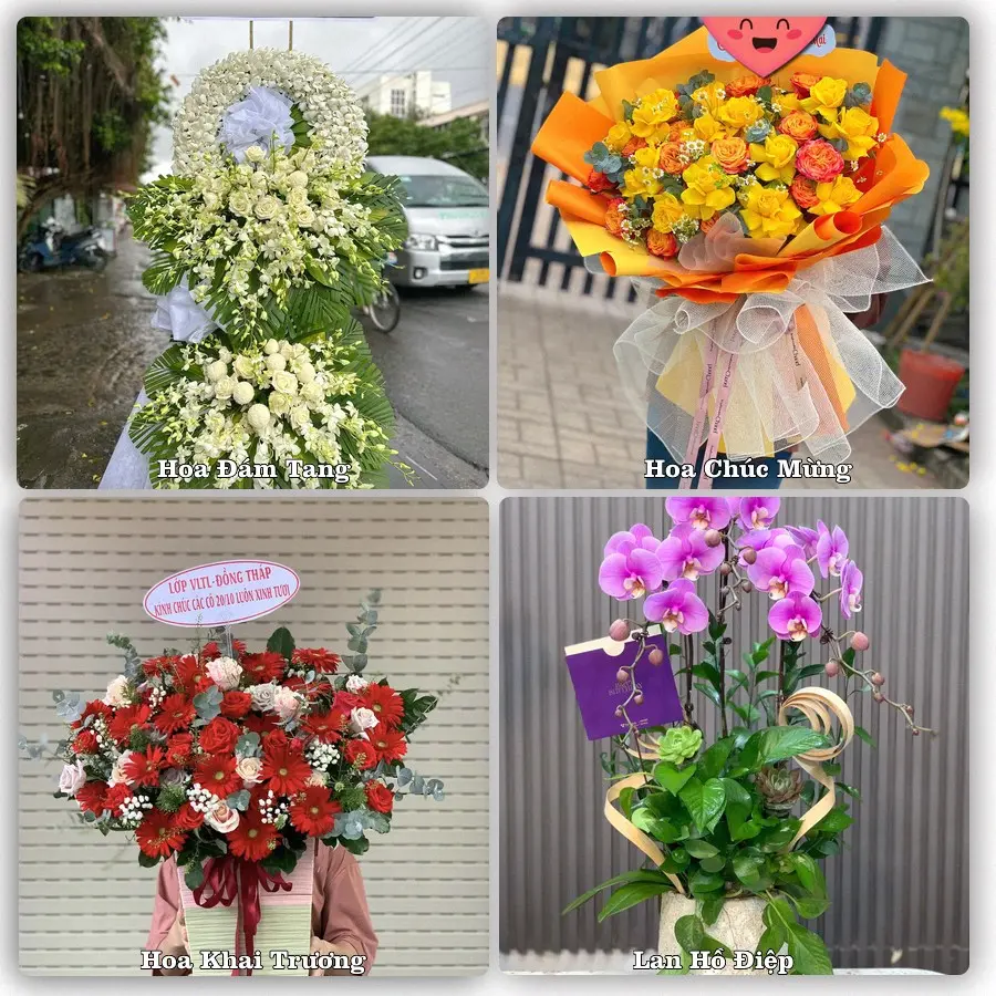 Đặt hoa giao tận nơi khu Hồng An, Hải Phòng