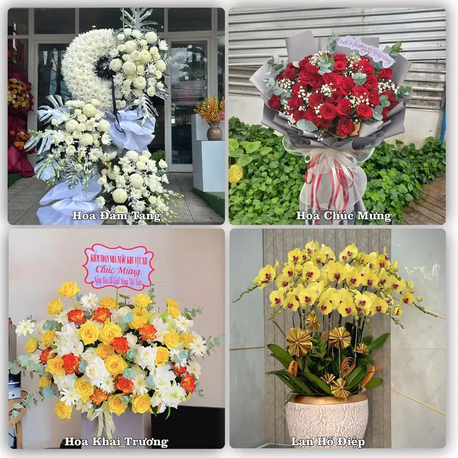 Đặt hoa giao tận nơi khu Hồng Bàng, Hải Phòng