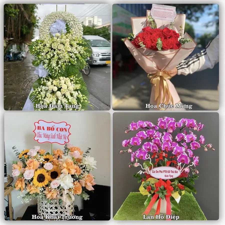 Shop hoa tươi Hồng Bàng, Hải Phòng – đặt hoa theo dịp, giao tận nơi