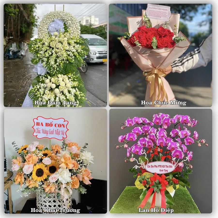 Mẫu hoa tươi giao tại Hồng Bàng, Hải Phòng