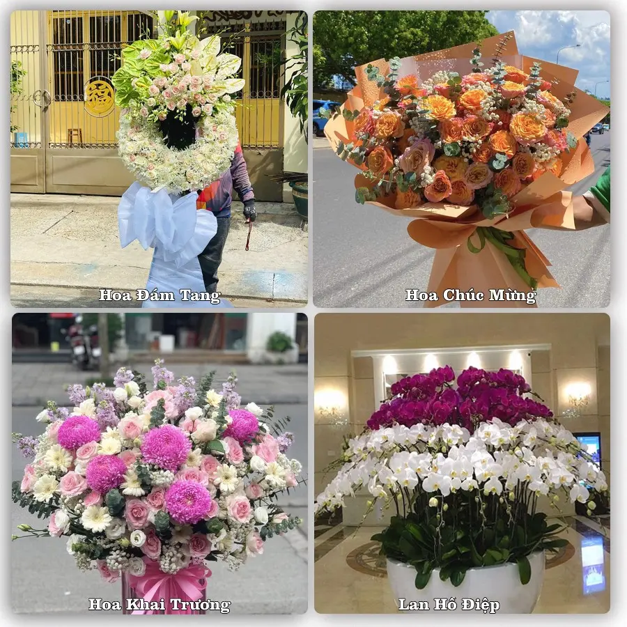 Mẫu hoa tươi dành cho khách đặt hoa tại Hồng Ngự, Đồng Tháp