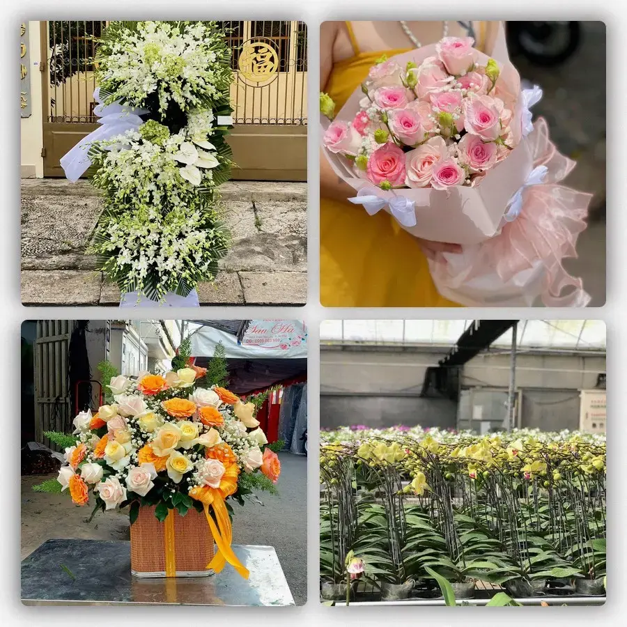 Mẫu hoa tươi tại Hưng Lễ