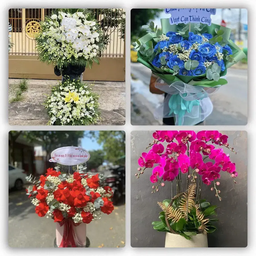 Mẫu hoa tươi tại Kế Sách