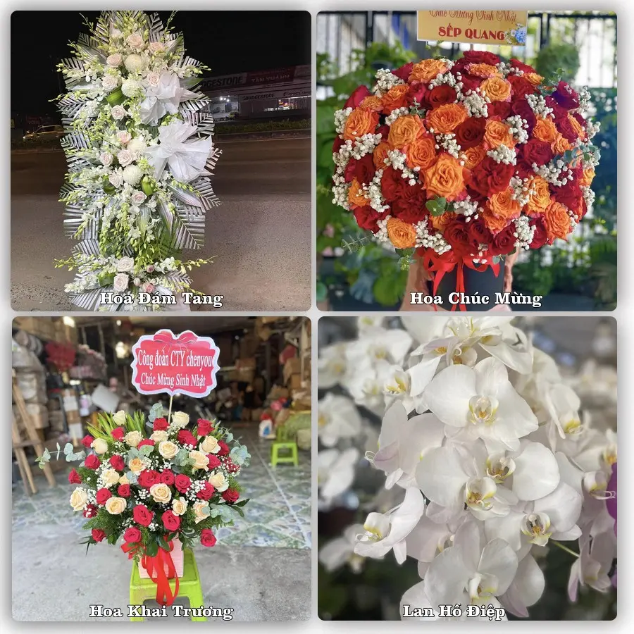 Mẫu hoa tươi giao tại Khánh Hội, Quận 4