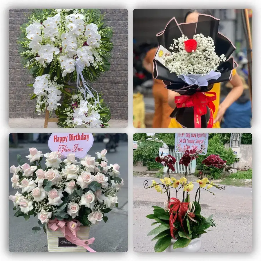 Mẫu hoa tươi tại Khe Sanh