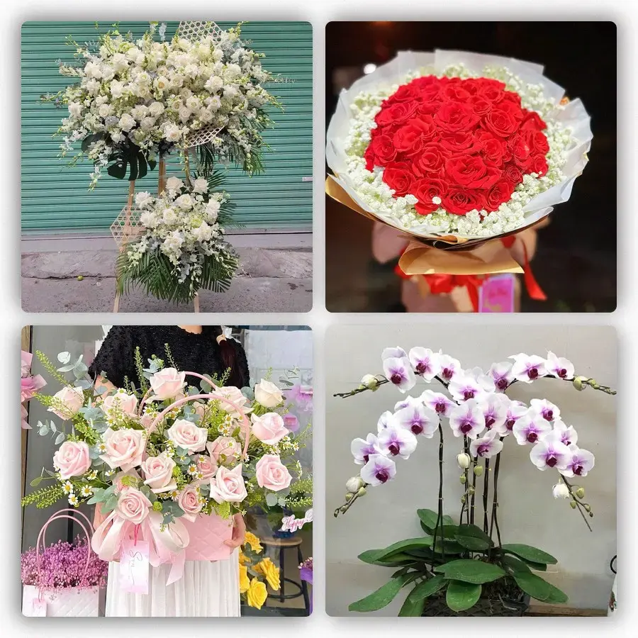 Mẫu hoa tươi tại Kiên Lương