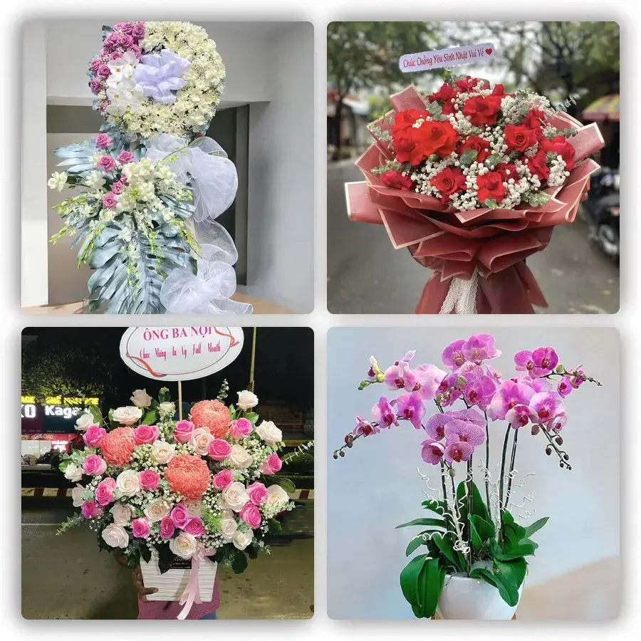 Mẫu hoa tươi tại Lai Vung