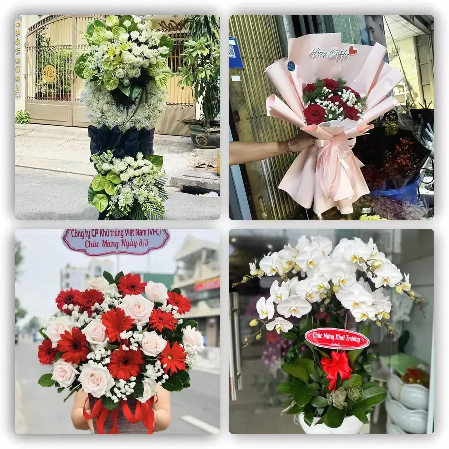 Mẫu hoa tươi tại Lao Bảo