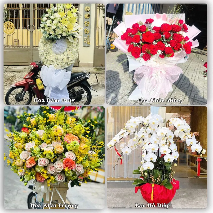 Đặt hoa giao tận nơi khu Lê Chân, Hải Phòng