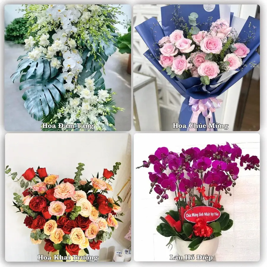 Mẫu hoa tươi giao tại Lê Chân, Hải Phòng