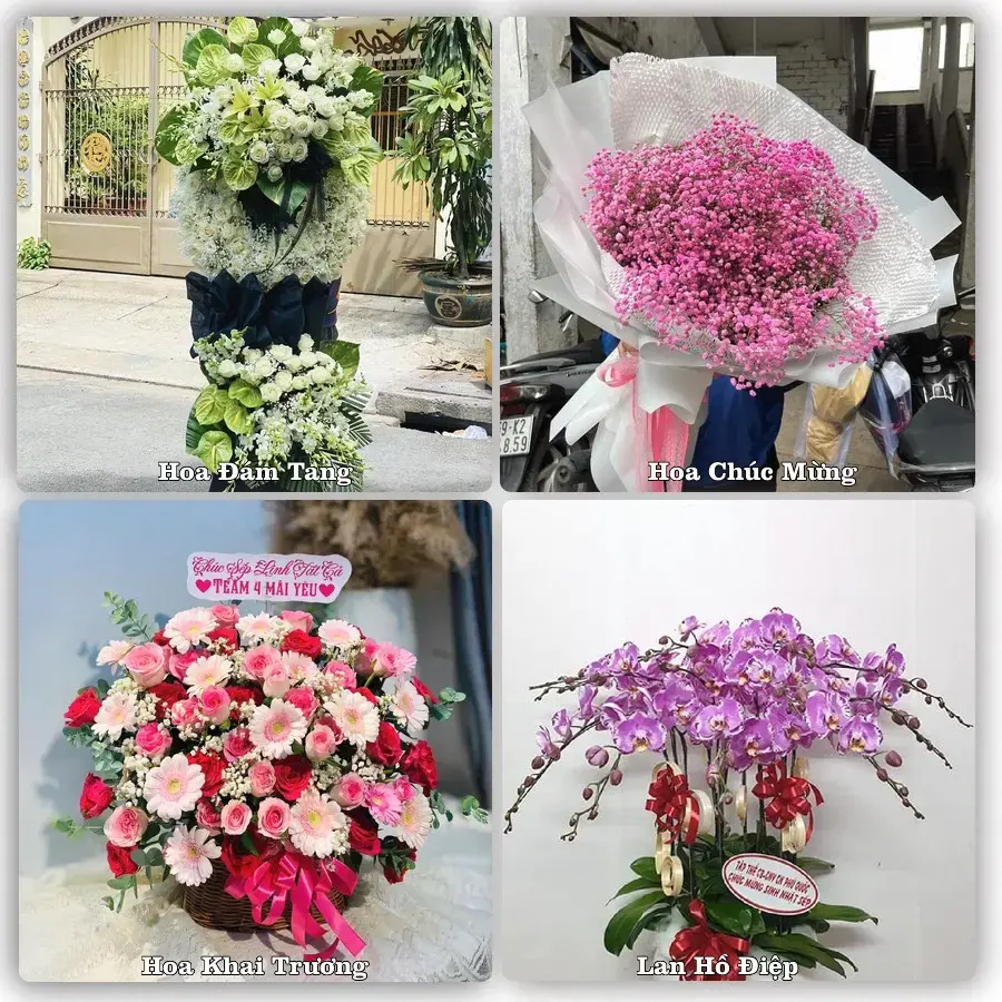 Shop hoa tươi Lê Thanh Nghị, Hải Phòng – đặt hoa theo dịp, giao tận nơi