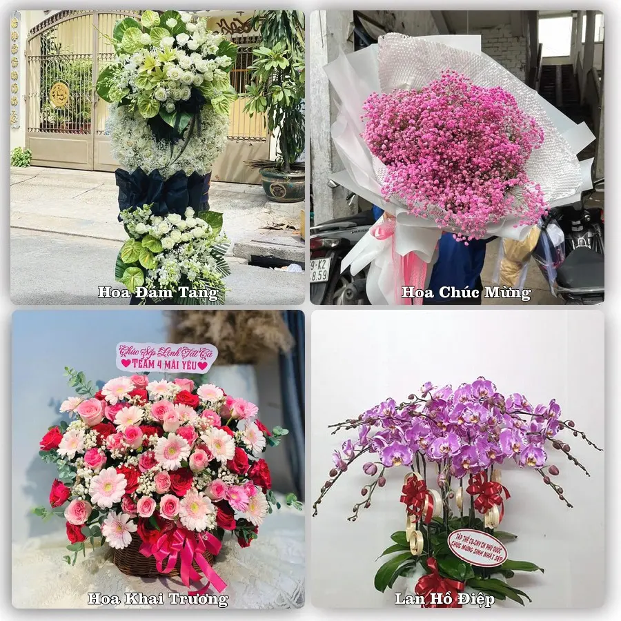Mẫu hoa tươi giao tại Lê Thanh Nghị, Hải Phòng