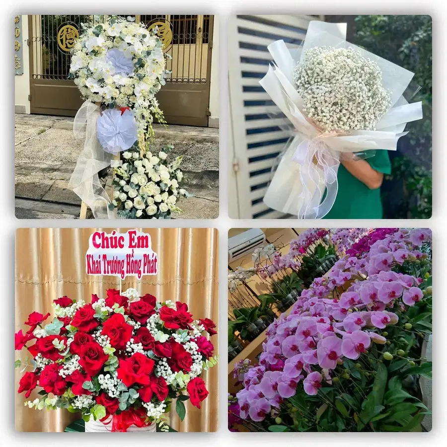 Mẫu hoa tươi tại Liễu Đề