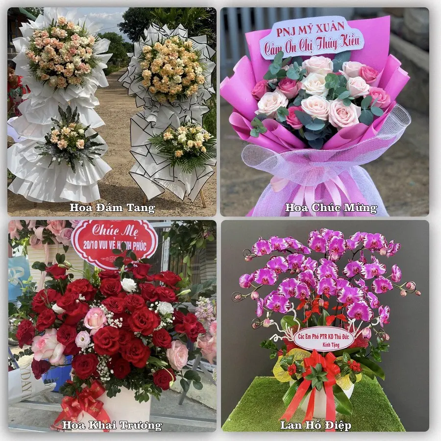 Đặt hoa giao tận nơi khu Long An, Tây Ninh