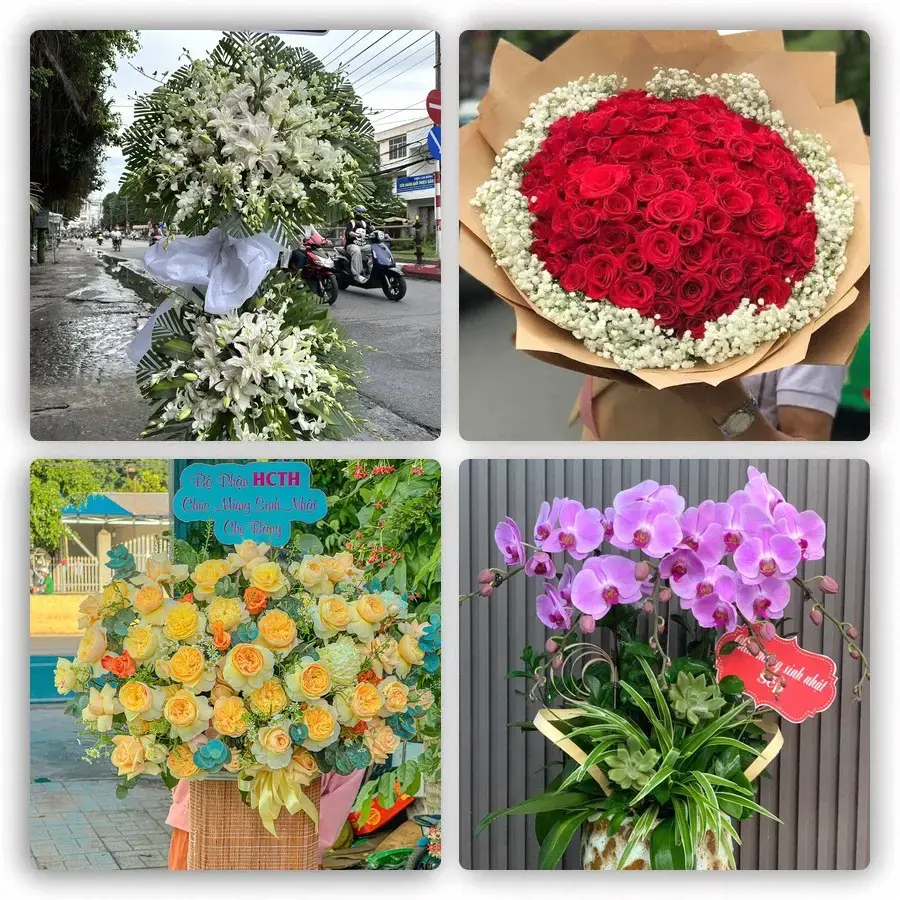 Mẫu hoa tươi tại Long Hữu