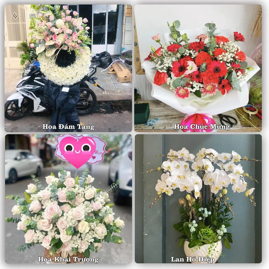 Mẫu hoa tươi dành cho khách đặt hoa tại Long Xuyên, An Giang