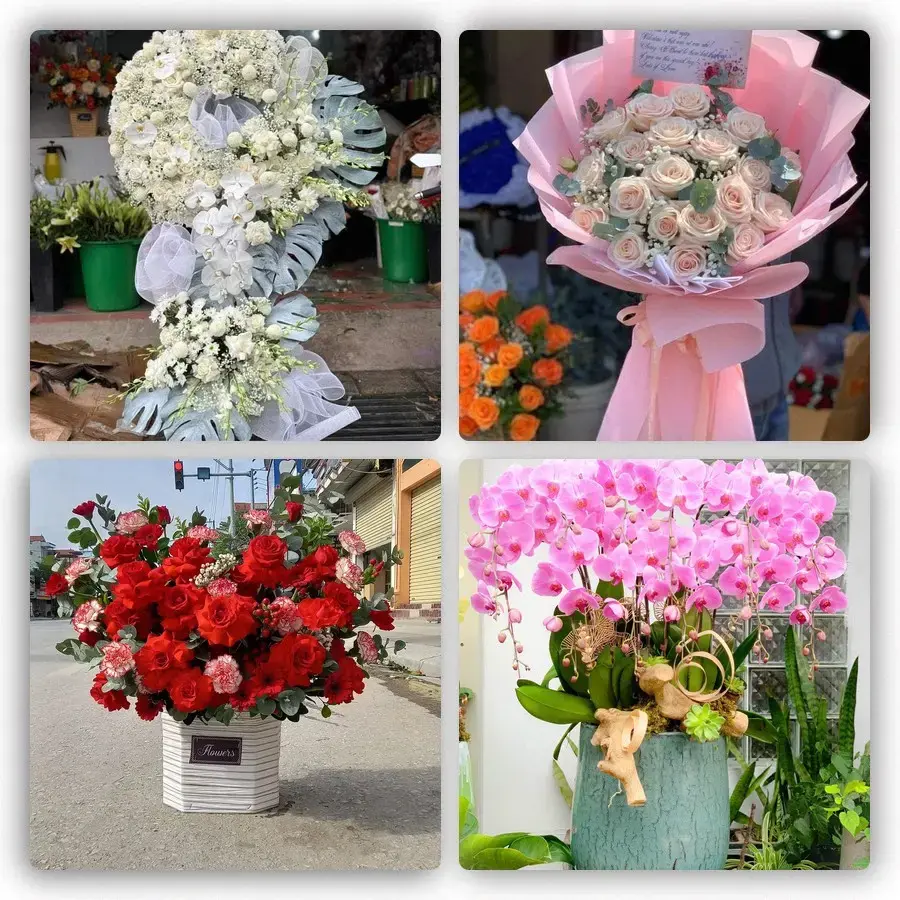 Mẫu hoa tươi tại Mái Dầm