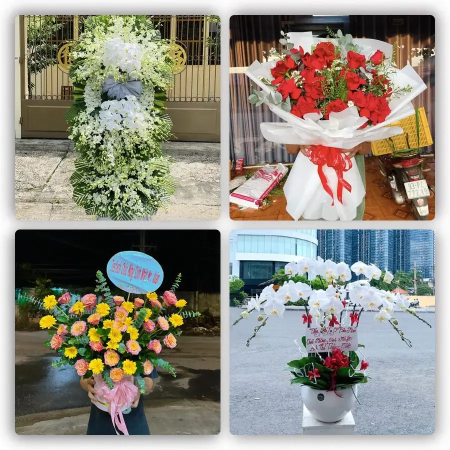 Shop Hoa Tươi tại Mèo Vạc (Xã Mèo Vạc, Tuyên Quang mới)
