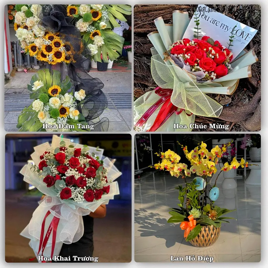 Mẫu hoa tươi giao tại Minh Phụng, Quận 11