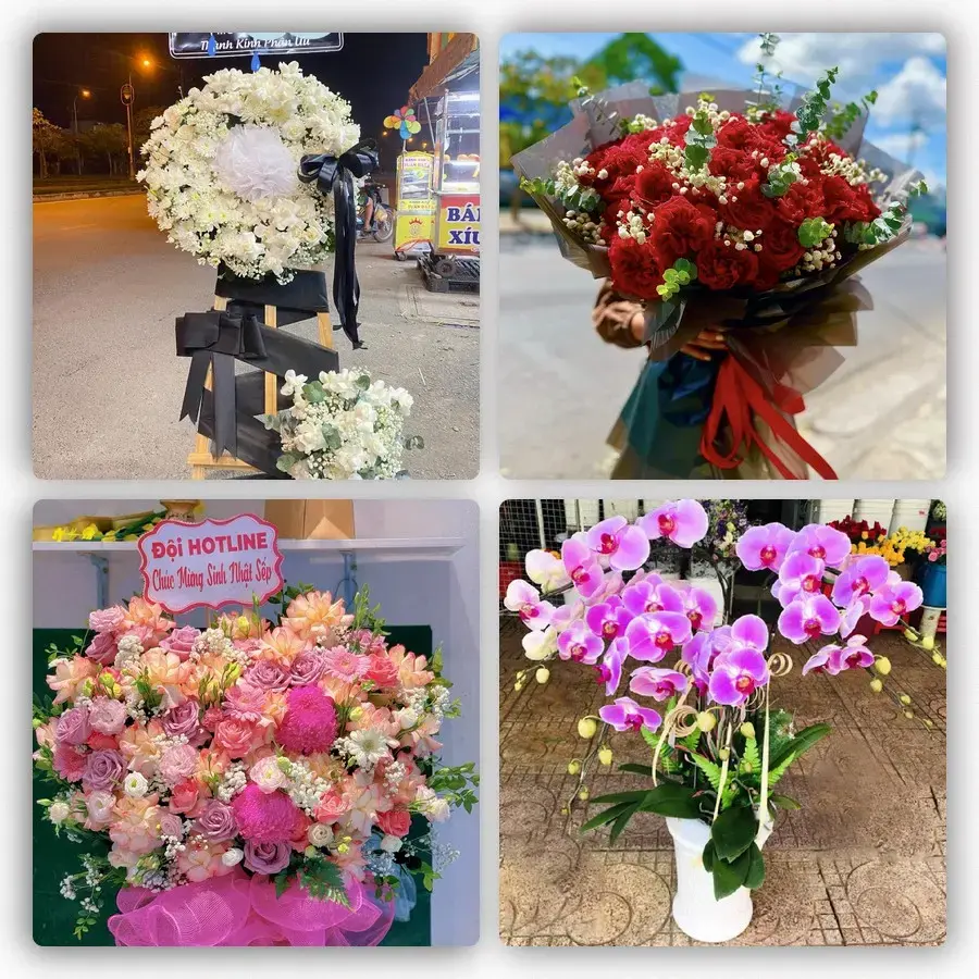 Mẫu hoa tươi tại Mường Khương