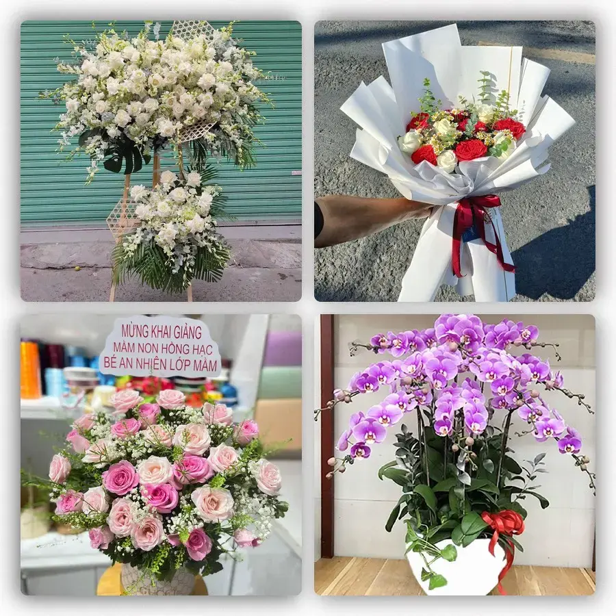 Mẫu hoa tươi tại Mỹ Chánh