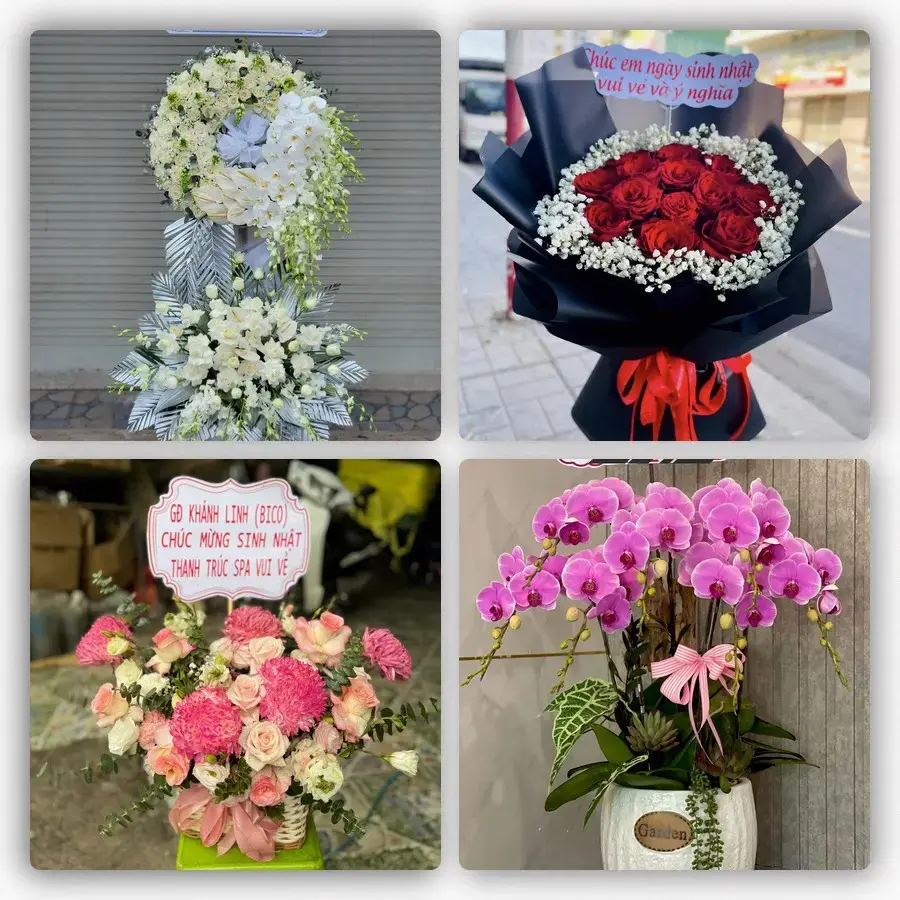 Mẫu hoa tươi tại Mỹ Nhơn