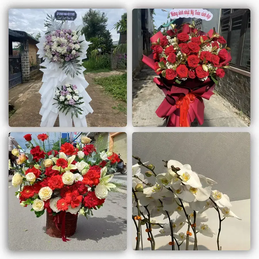 Mẫu hoa tươi tại Mỹ Thạnh