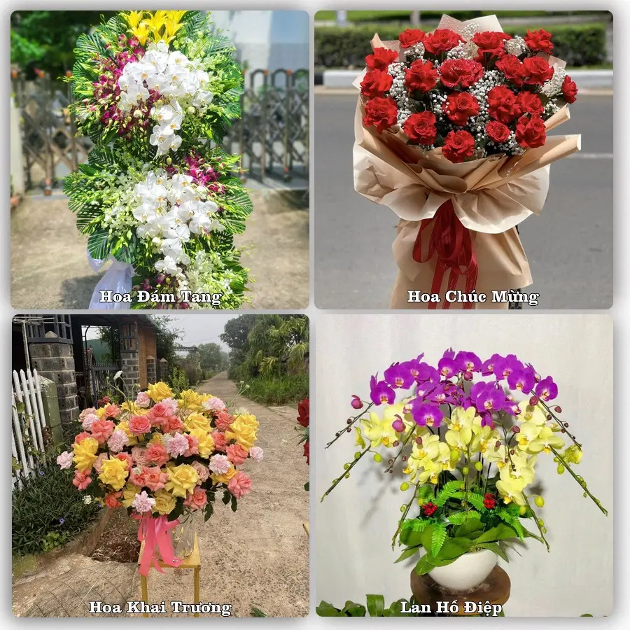 Đặt hoa giao tận nơi khu Mỹ Tho, Đồng Tháp