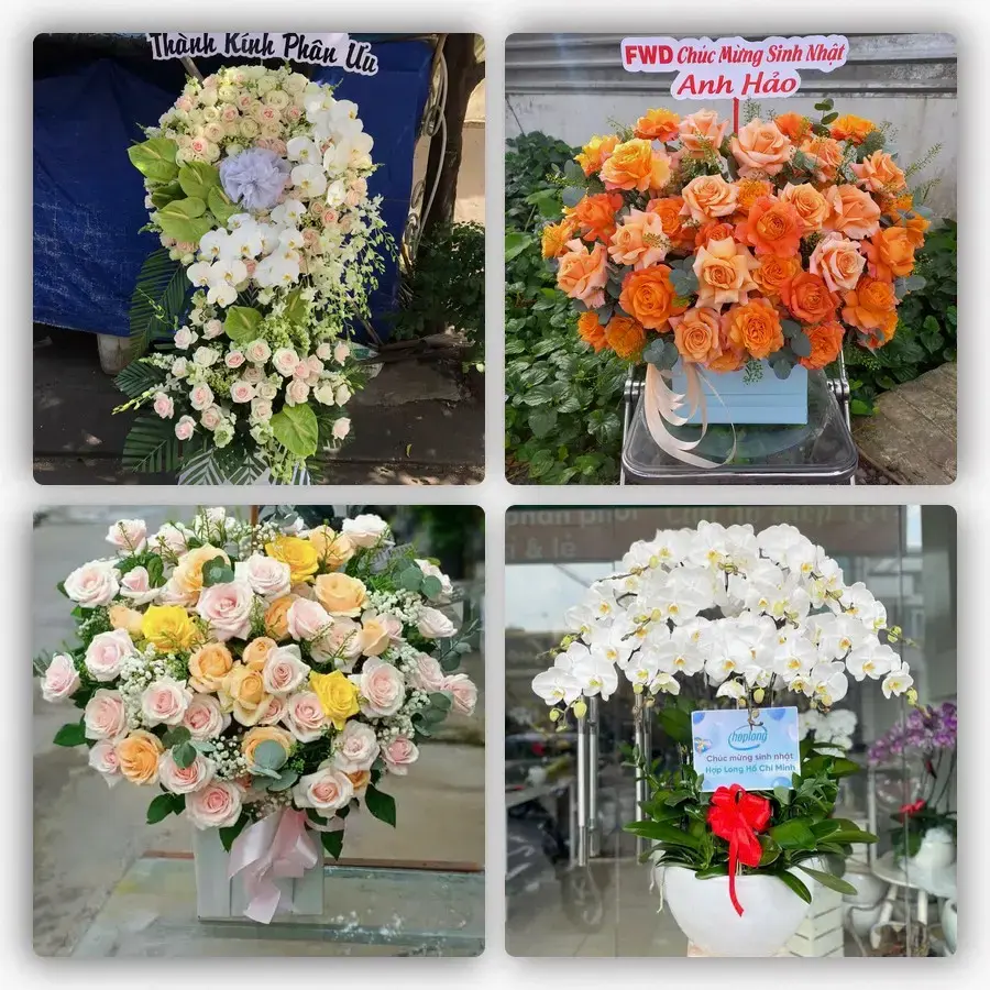 Mẫu hoa tươi tại Mỹ Xuyên