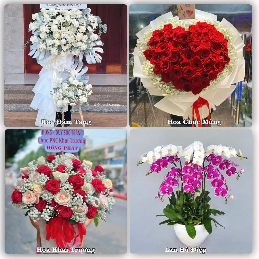 Mẫu hoa tươi dành cho khách đặt hoa tại Ngã Bảy, Hậu Giang