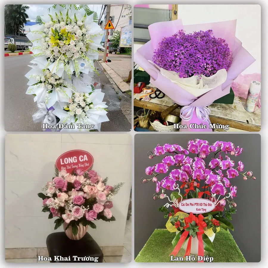 Mẫu hoa tươi giao tại Nghĩa Đô, Cầu Giấy