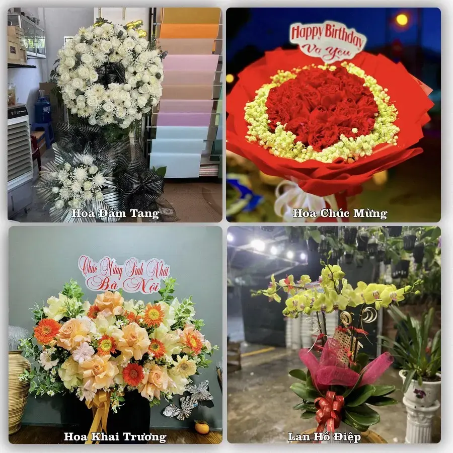 Shop hoa tươi Ngô Quyền, Hải Phòng – đặt hoa theo dịp, giao tận nơi