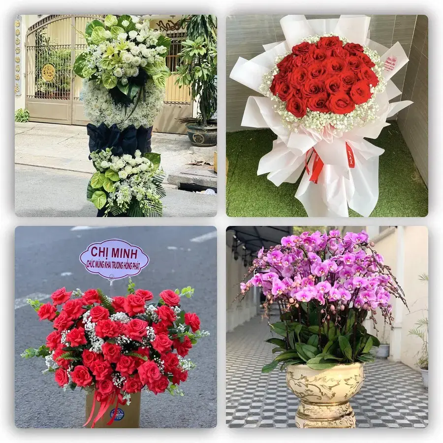 Mẫu hoa tươi tại Nho Quan