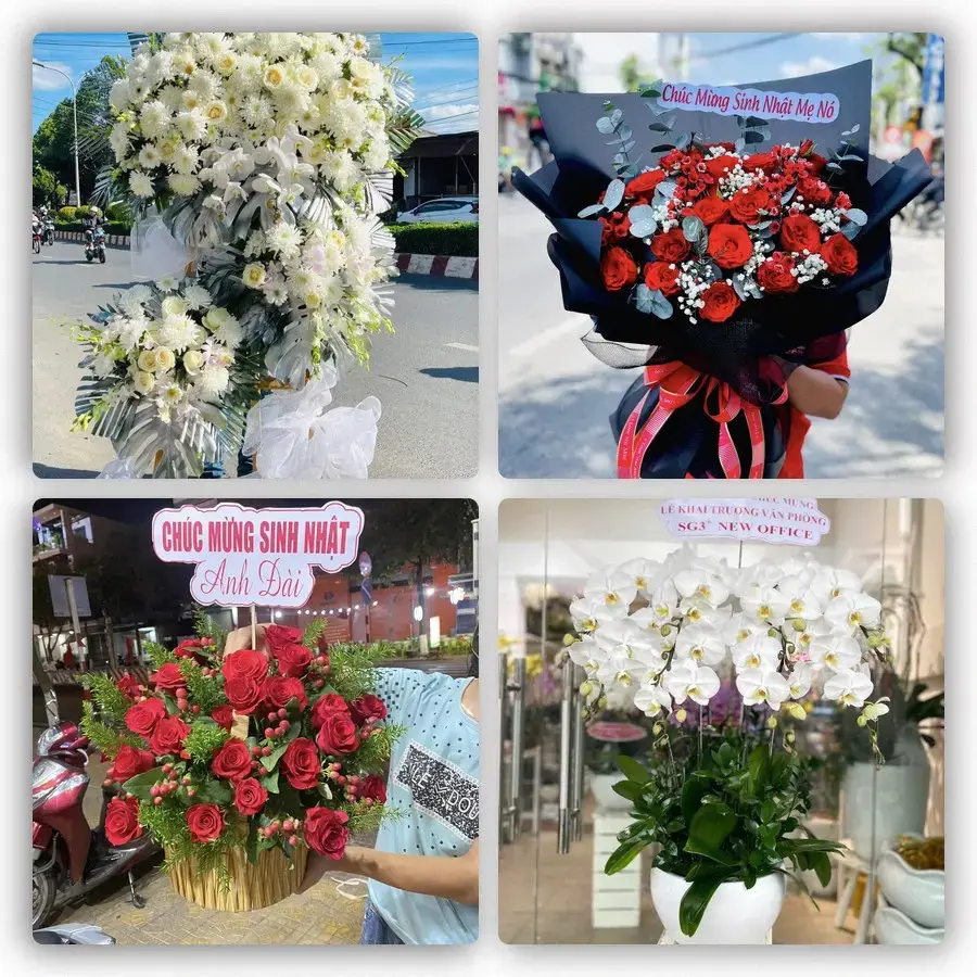 Mẫu hoa tươi tại Nhơn Hoà