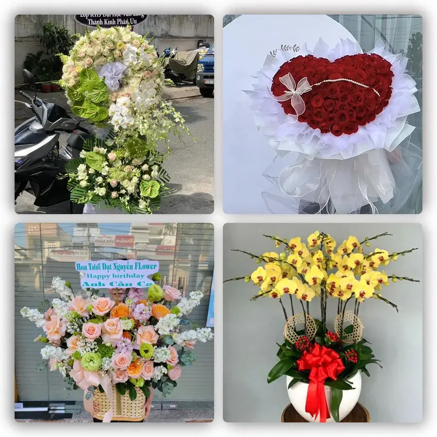 Mẫu hoa tươi tại Ninh Hòa