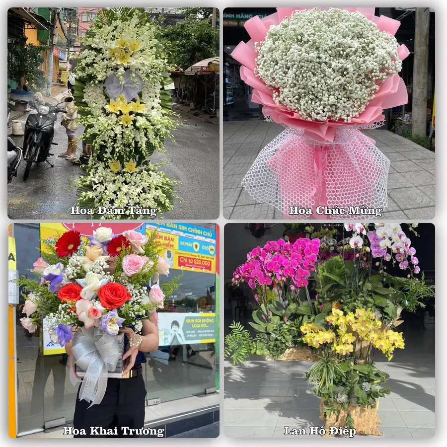 Mẫu hoa tươi giao tại Ninh Kiều, Cần Thơ