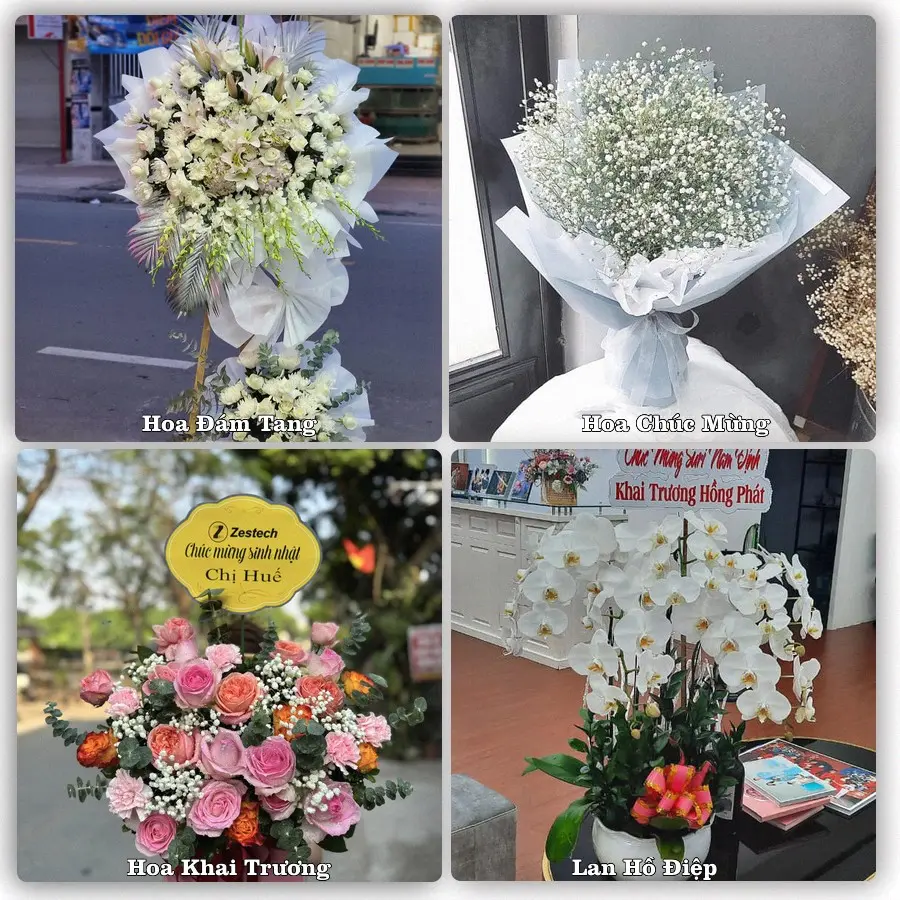 Mẫu hoa tươi giao tại Ô Chợ Dừa, Hà Nội