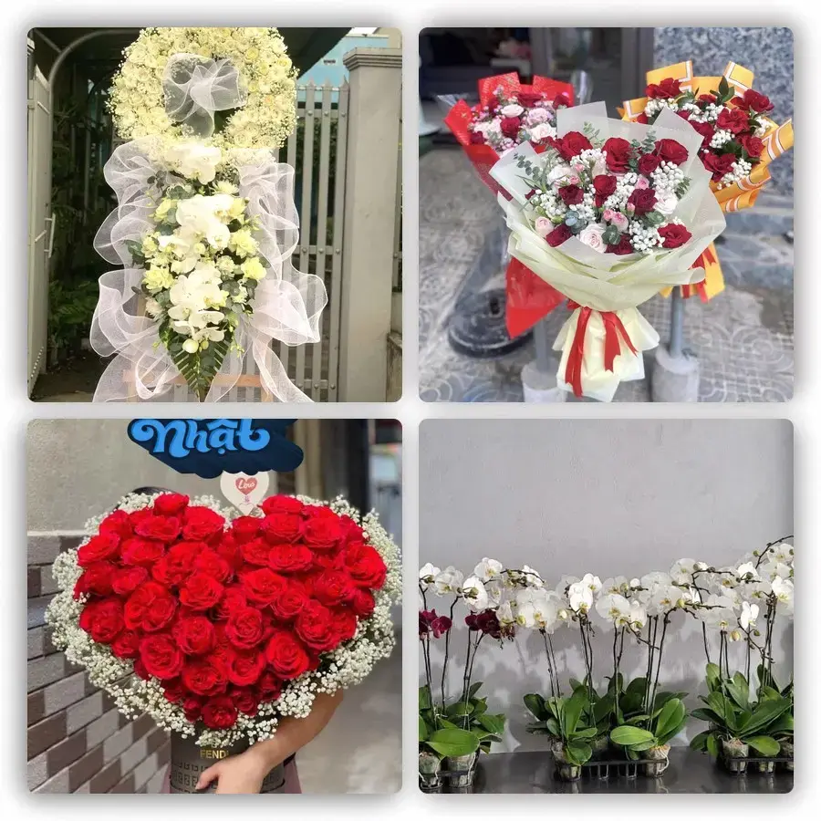 Mẫu hoa tươi tại Pác Miầu